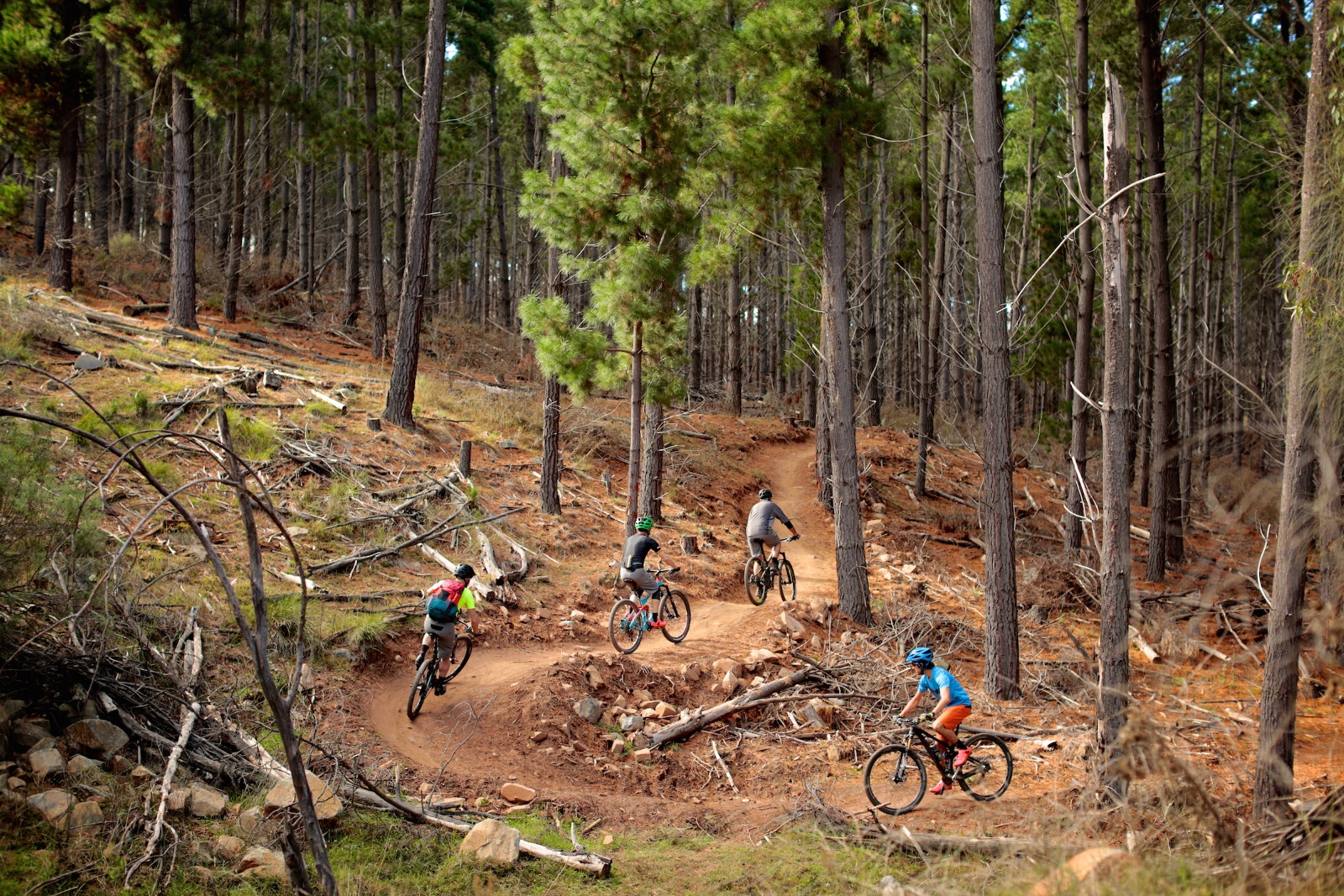 Blue Loop – Majura Pines Trail Alliance